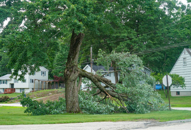 Madison, IN  Tree Services Company